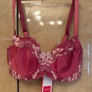 Lace Bra 32E